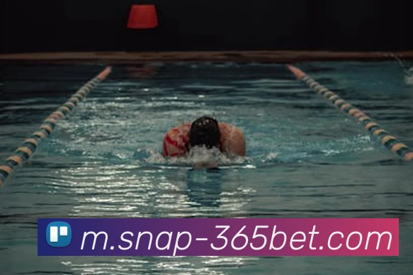 365bet平台生态图